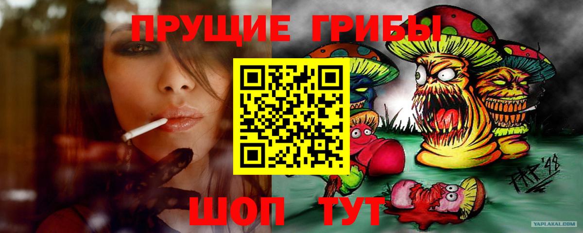 Галлюциногенные грибы Psilocybine cubensis  Вход с VPN  Псилоцибиновые грибы Psilocybe  Вятские Поляны 